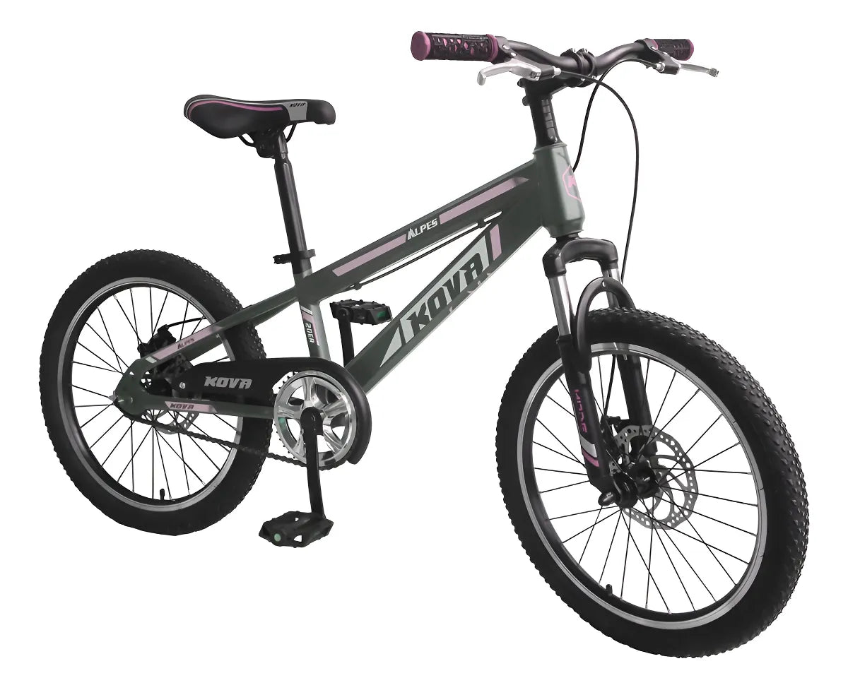 Bicicleta Rodado 20 Kova Alpes Freno De Disco Y Suspension