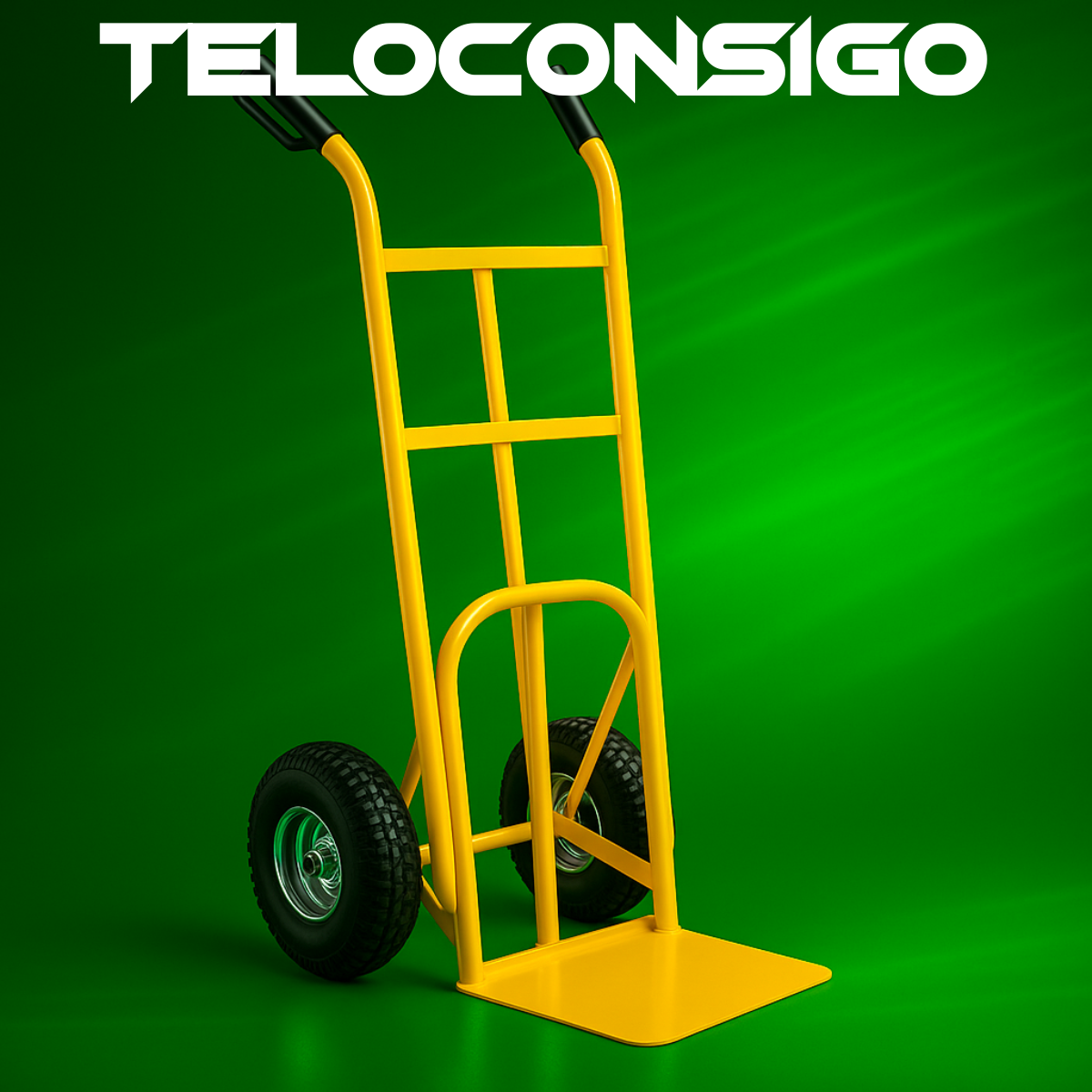 Carro De Carga Profesional Con Aleta 200kg - Rueda Inflable