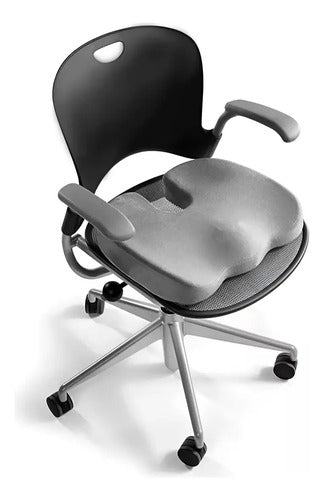 Almohadon Cojin Viscoelastico Lumbar Para Asiento Noobe Blanco/celeste No
