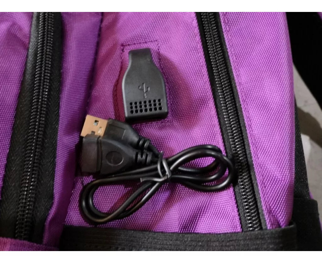 Mochila Violeta Urbana Con Usb