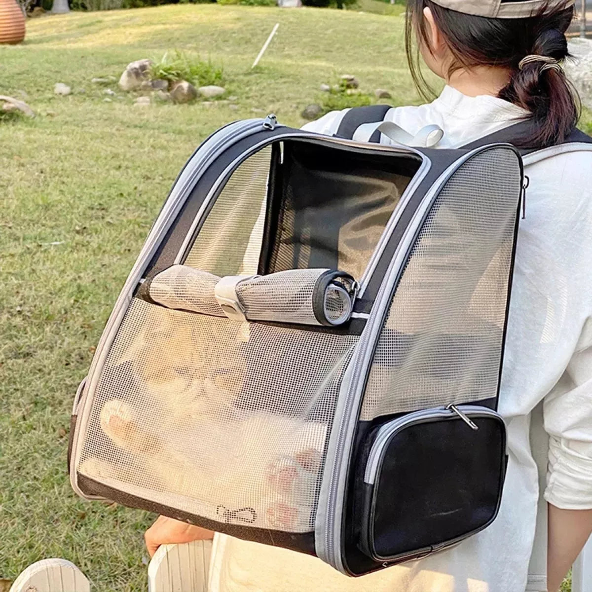 Mochila Bolso Trasportadora Malla Mascota Perros Gatos Viaje