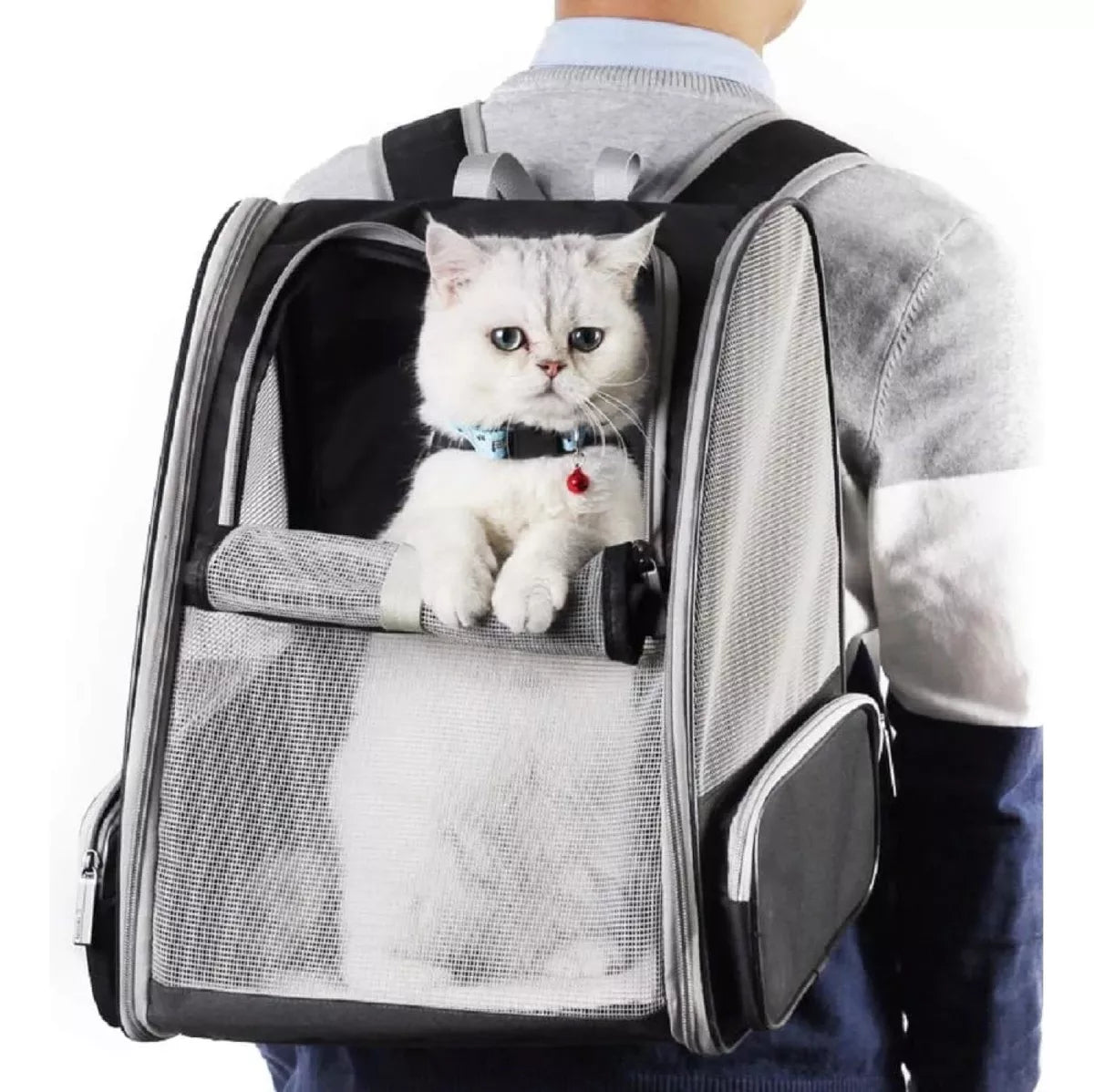 Mochila Bolso Trasportadora Malla Mascota Perros Gatos Viaje