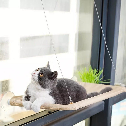 Cama Colgante Elevada Para Gatos Ventana Con Ventosas