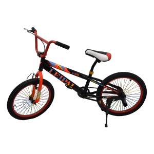 Bicicleta Infantil Rodado 20